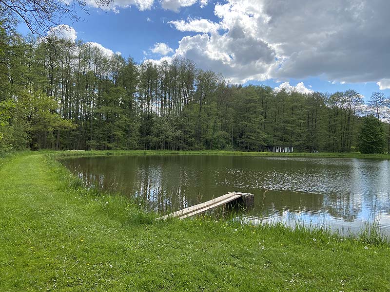 Der Badesee Naturbad Magdalenental in Trisching
