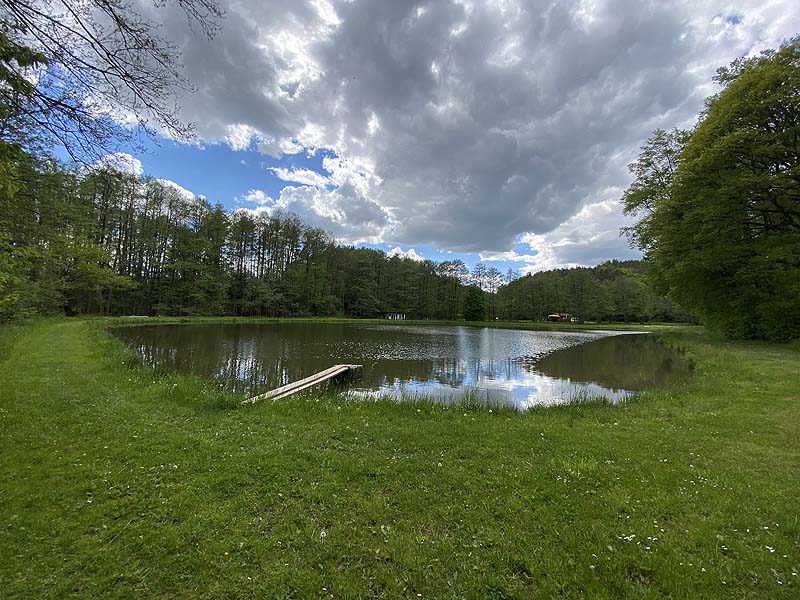 Der Badesee Naturbad Magdalenental in Trisching