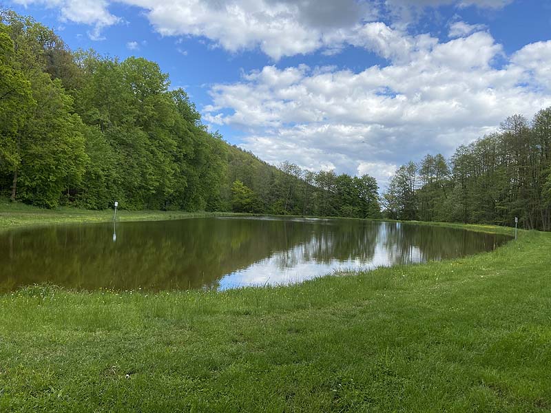 Der Badesee Naturbad Magdalenental in Trisching