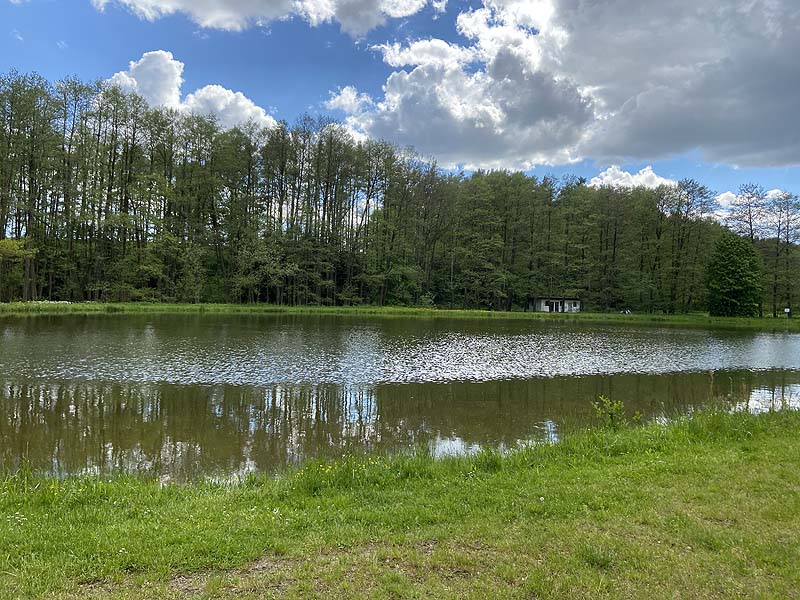Der Badesee Naturbad Magdalenental in Trisching