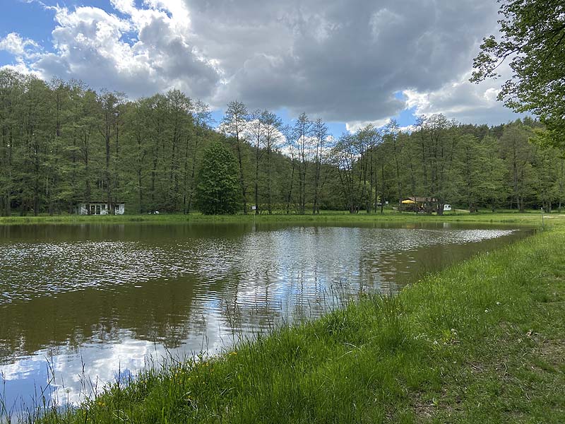 Der Badesee Naturbad Magdalenental in Trisching