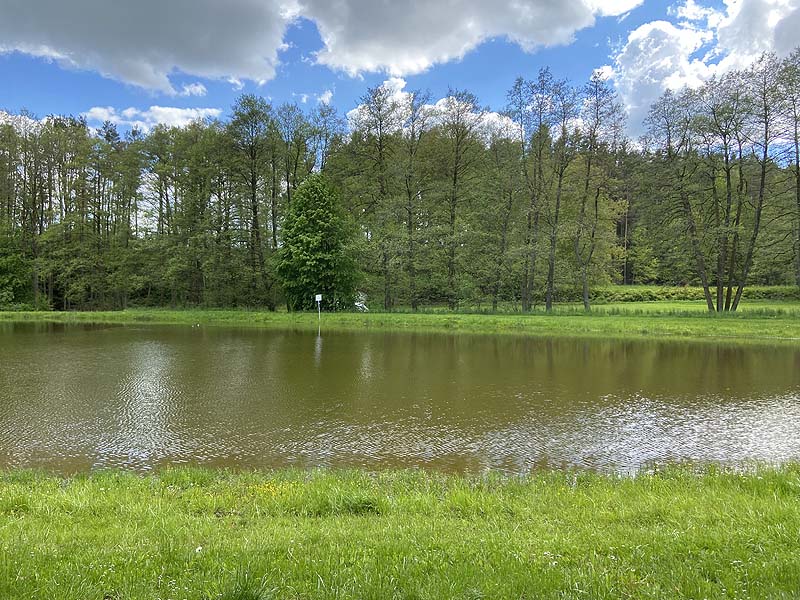 Der Badesee Naturbad Magdalenental in Trisching