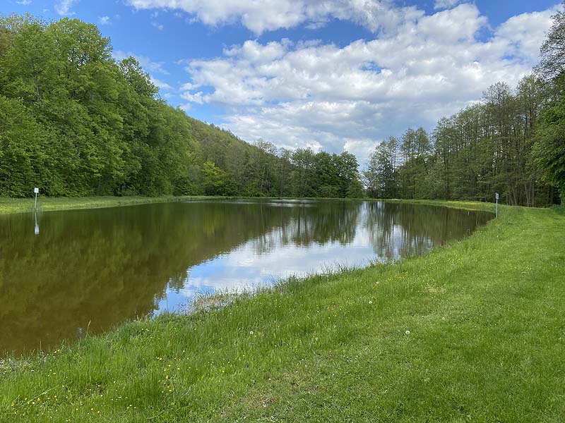Der Badesee Naturbad Magdalenental in Trisching
