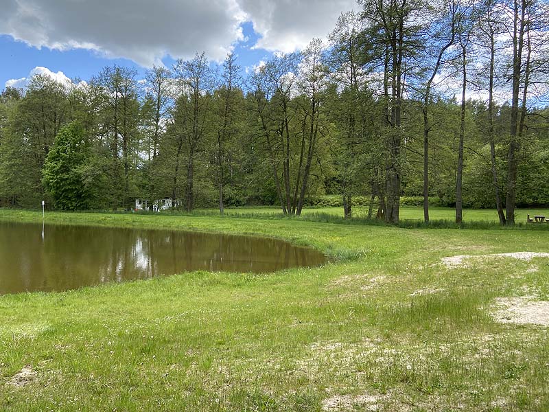 Der Badesee Naturbad Magdalenental in Trisching