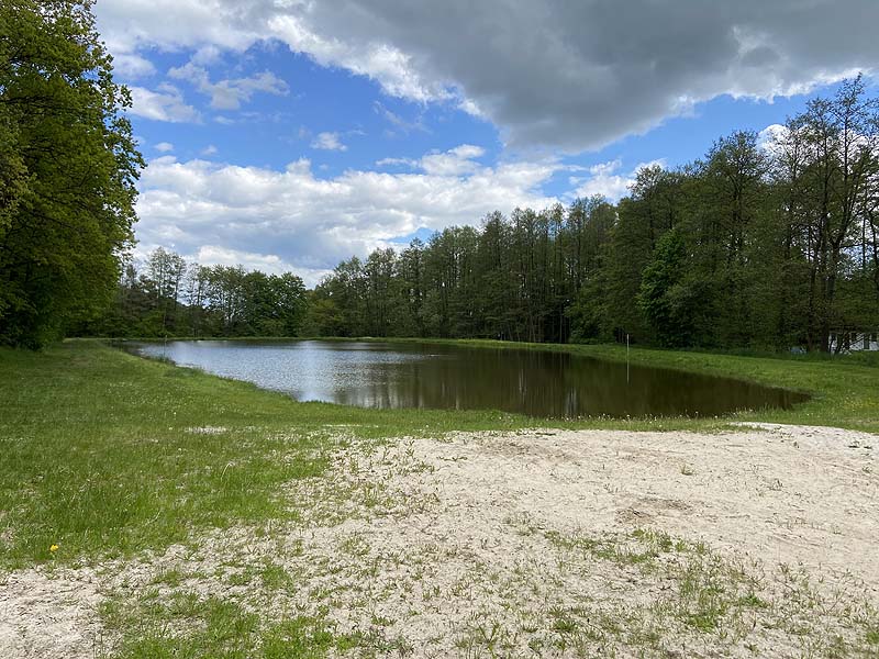 Der Badesee Naturbad Magdalenental in Trisching