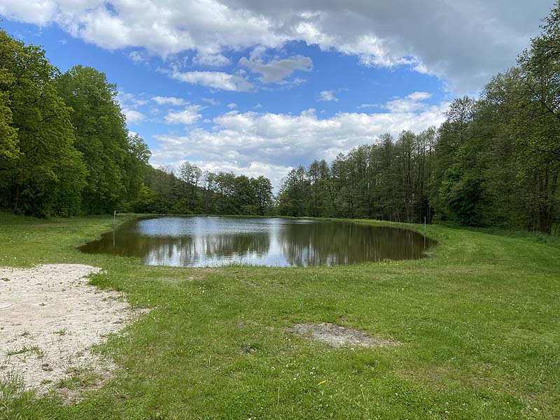 Der Badesee Naturbad Magdalenental in Trisching