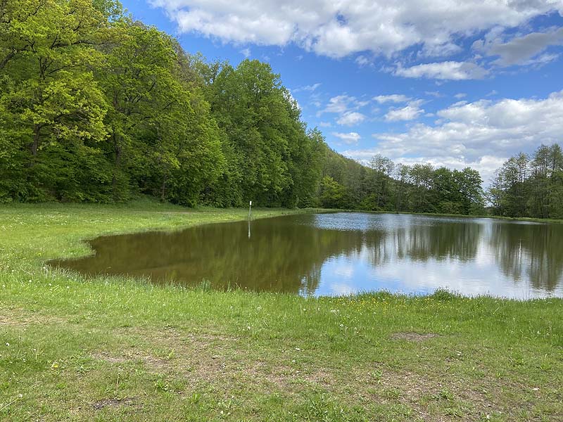 Der Badesee Naturbad Magdalenental in Trisching