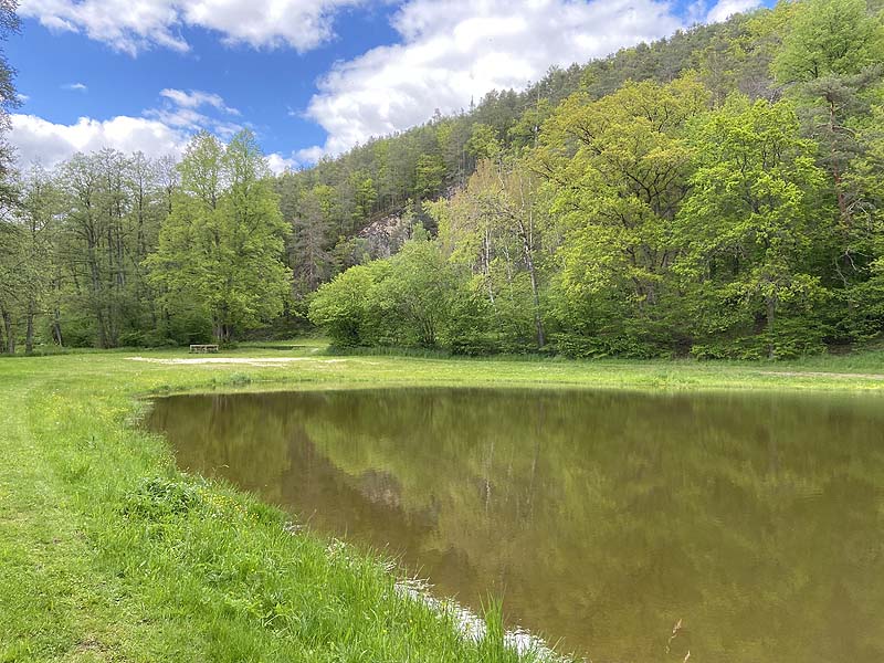 Der Badesee Naturbad Magdalenental in Trisching
