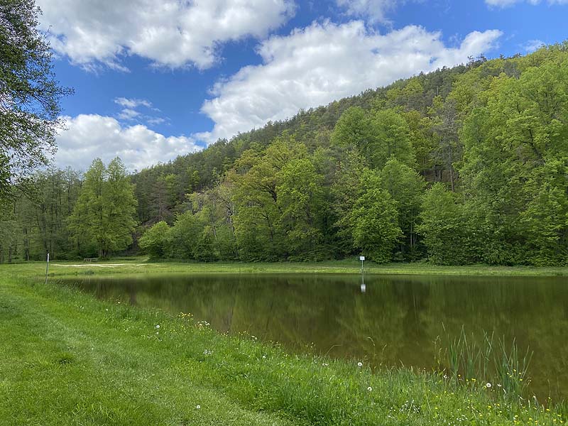 Der Badesee Naturbad Magdalenental in Trisching