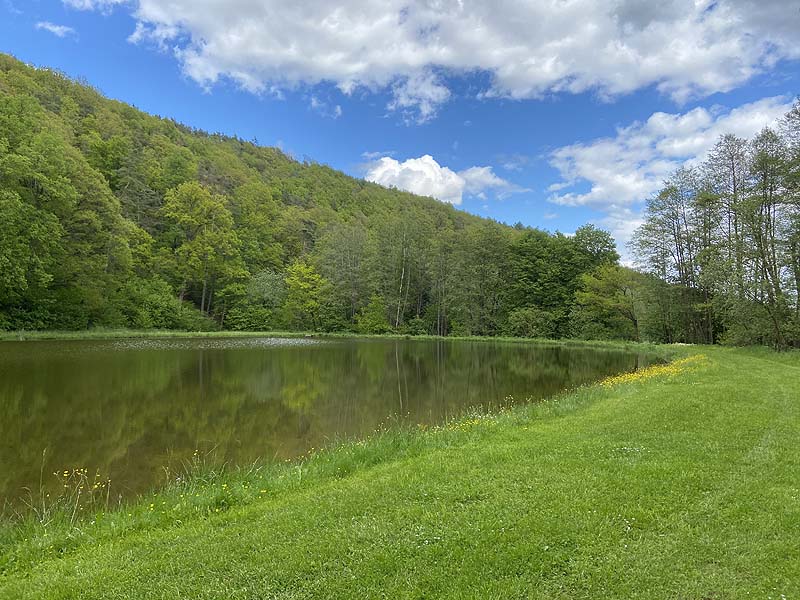 Der Badesee Naturbad Magdalenental in Trisching