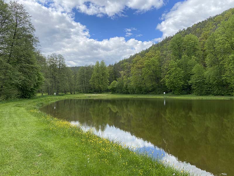 Der Badesee Naturbad Magdalenental in Trisching