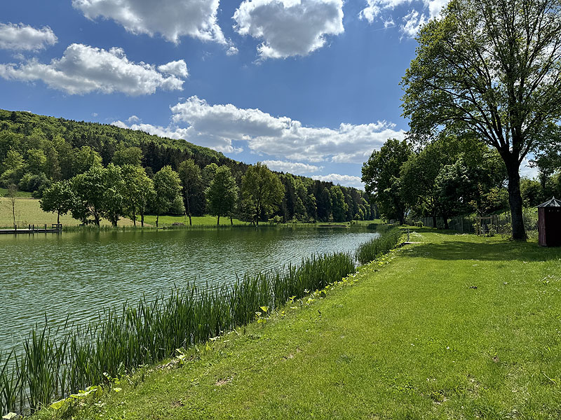 Der Naturbadesee Altenveldorf in Velburg
