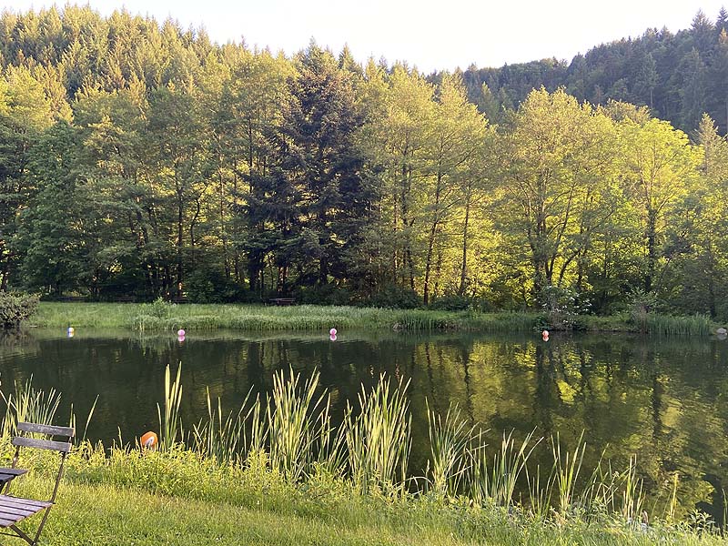 Der Badesee Naturschwimmbad Sulzburg in Baden-Württemberg