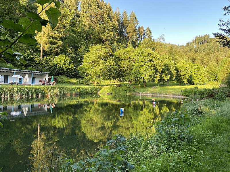 Der Badesee Naturschwimmbad Sulzburg in Baden-Württemberg