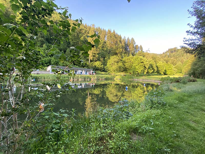 Der Badesee Naturschwimmbad Sulzburg in Baden-Württemberg