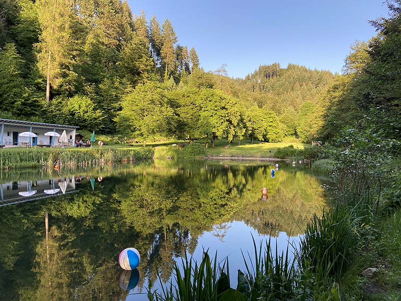 Der Badesee Naturschwimmbad Sulzburg in Baden-Württemberg