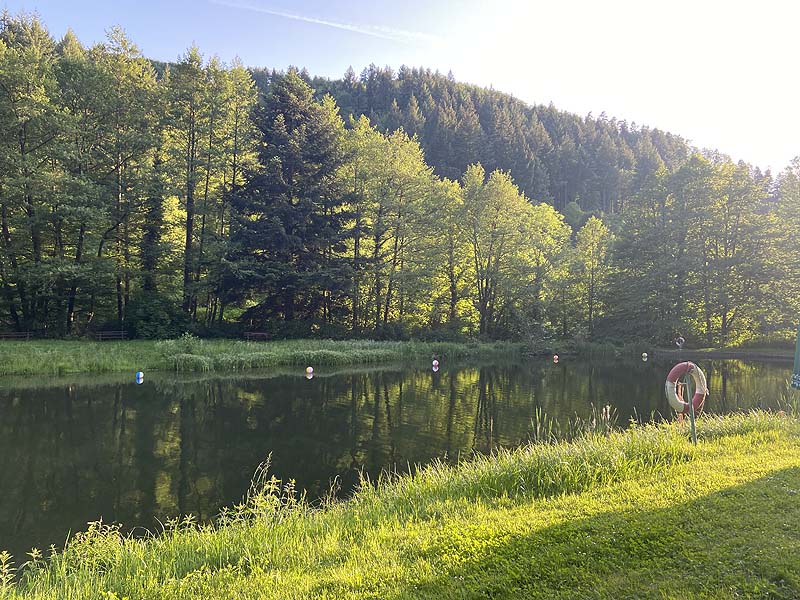 Der Badesee Naturschwimmbad Sulzburg in Baden-Württemberg