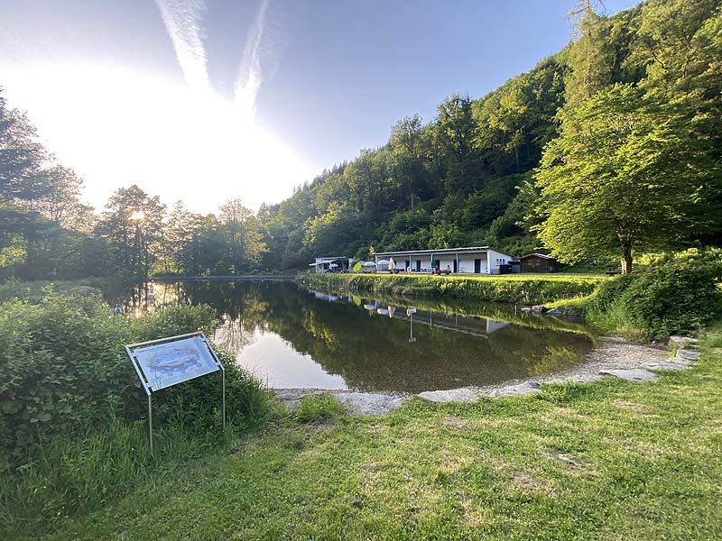 Der Badesee Naturschwimmbad Sulzburg in Baden-Württemberg