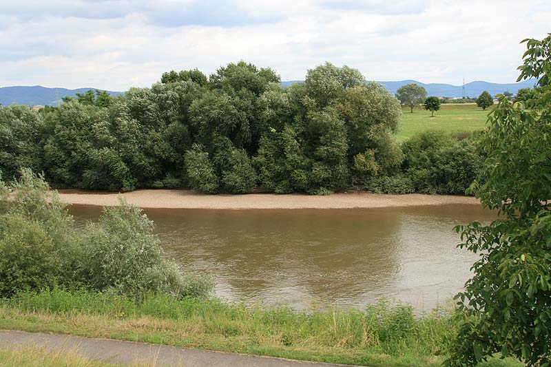 Neckarschleife (Ilvesheim, Baden-Württemberg)