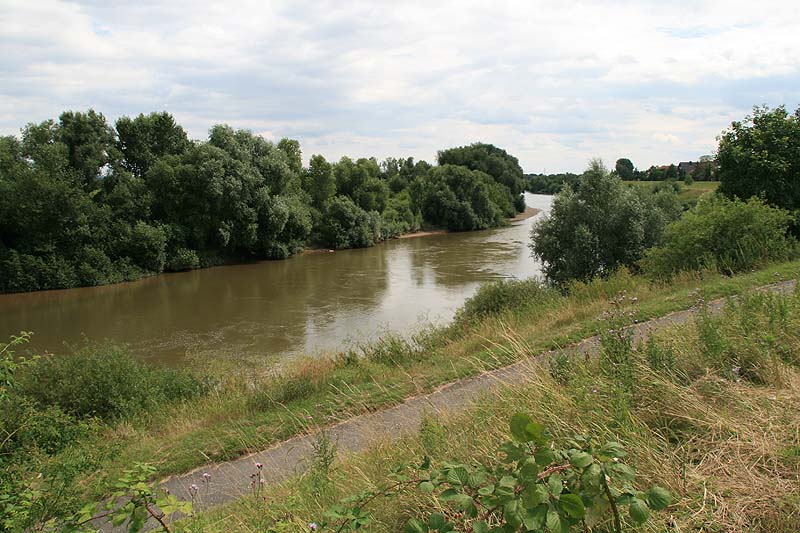 Neckarschleife (Ilvesheim, Baden-Württemberg)