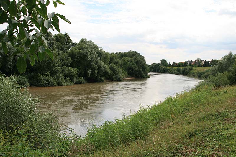 Neckarschleife (Ilvesheim, Baden-Württemberg)