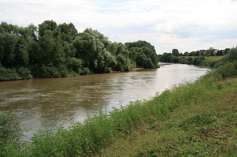 Neckarschleife (Ilvesheim, Baden-Württemberg)