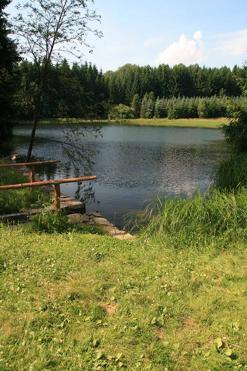 Unterer Schwemmteich (Neuhausen bei Seiffen, Sachsen)