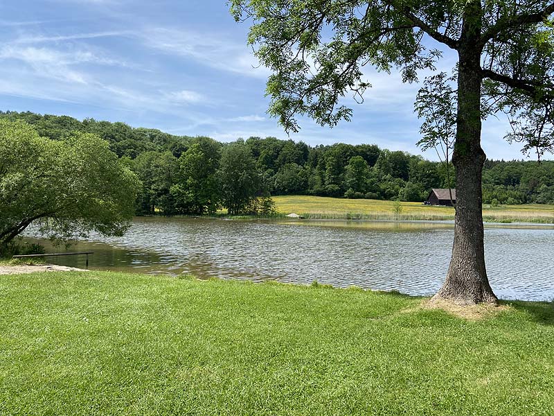 Der Badesee Neumühlsee in Waldenburg in Baden-Württemberg