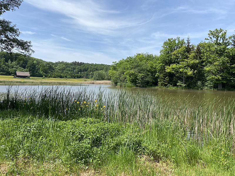 Der Badesee Neumühlsee in Waldenburg in Baden-Württemberg