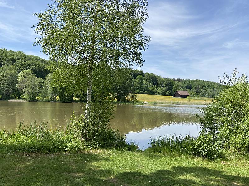 Der Badesee Neumühlsee in Waldenburg in Baden-Württemberg