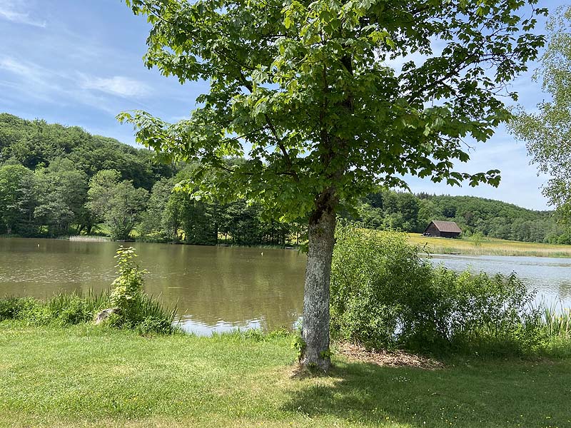 Der Badesee Neumühlsee in Waldenburg in Baden-Württemberg