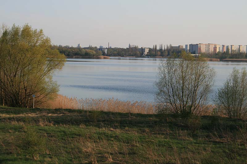 Neustädter See (Magdeburg, Sachsen-Anhalt)
