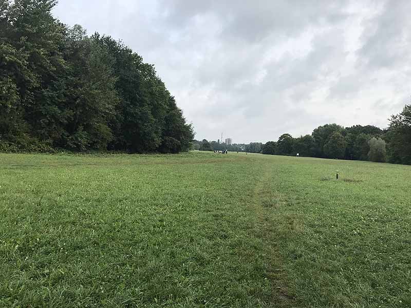 Niddapark (Frankfurt am Main, Hessen)