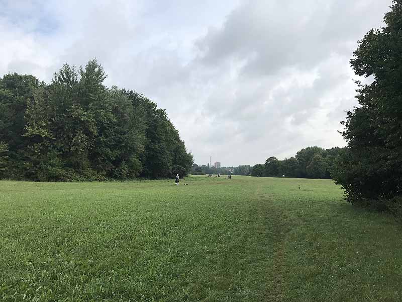 Niddapark (Frankfurt am Main, Hessen)