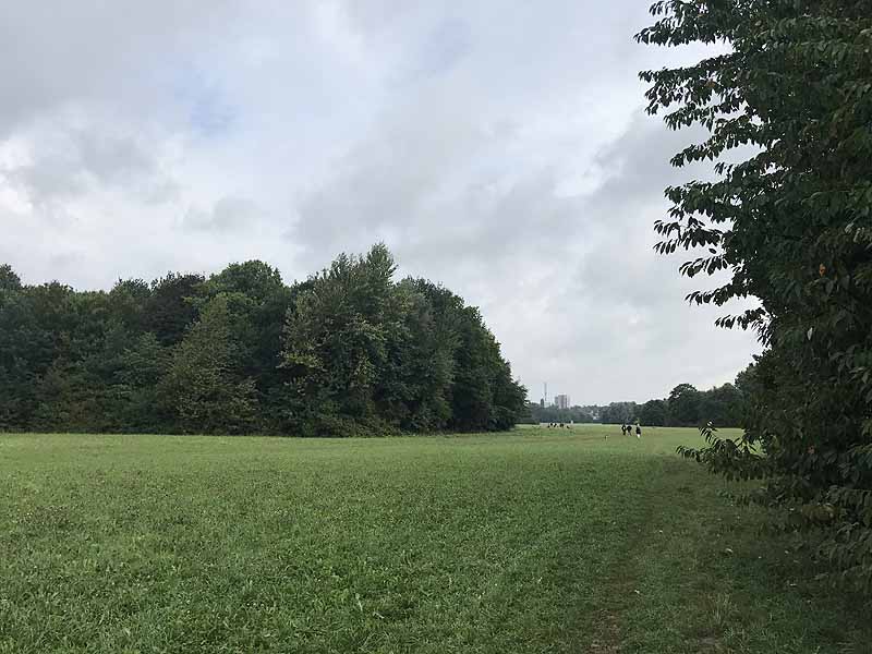 Niddapark (Frankfurt am Main, Hessen)
