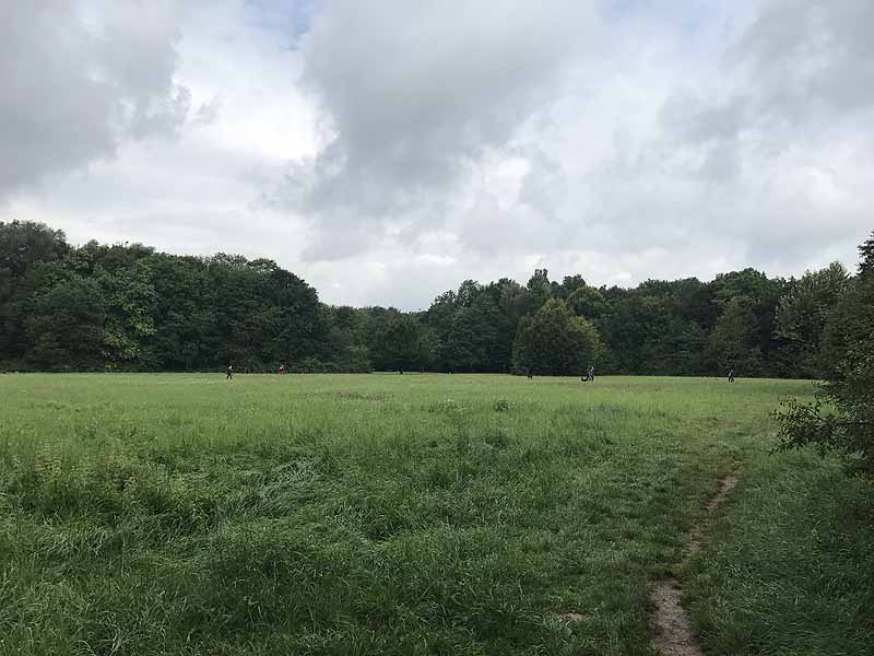 Niddapark (Frankfurt am Main, Hessen)