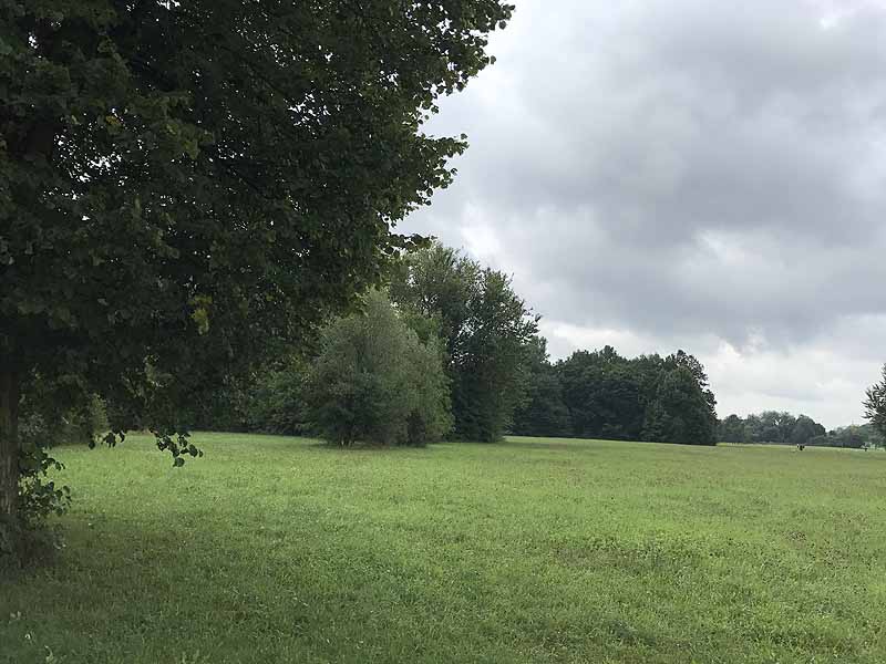 Niddapark (Frankfurt am Main, Hessen)