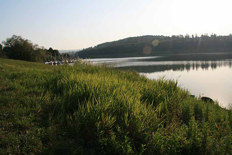 Niddastausee (Schotten, Hessen)