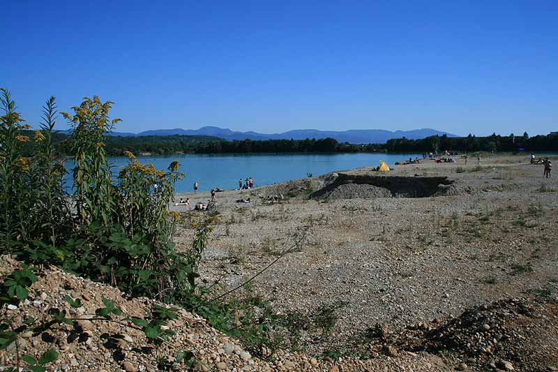 Baggersee (Breisach-Rimsingen, Baden-Württemberg)