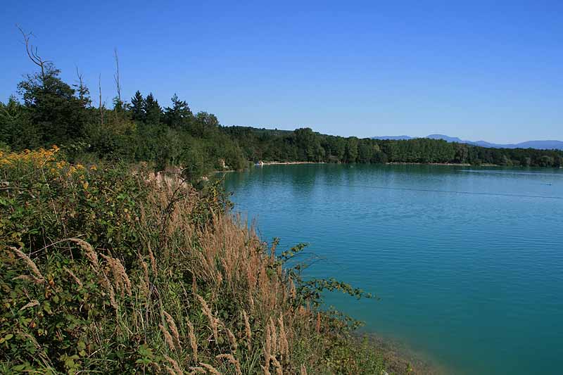 Baggersee (Breisach-Rimsingen, Baden-Württemberg)