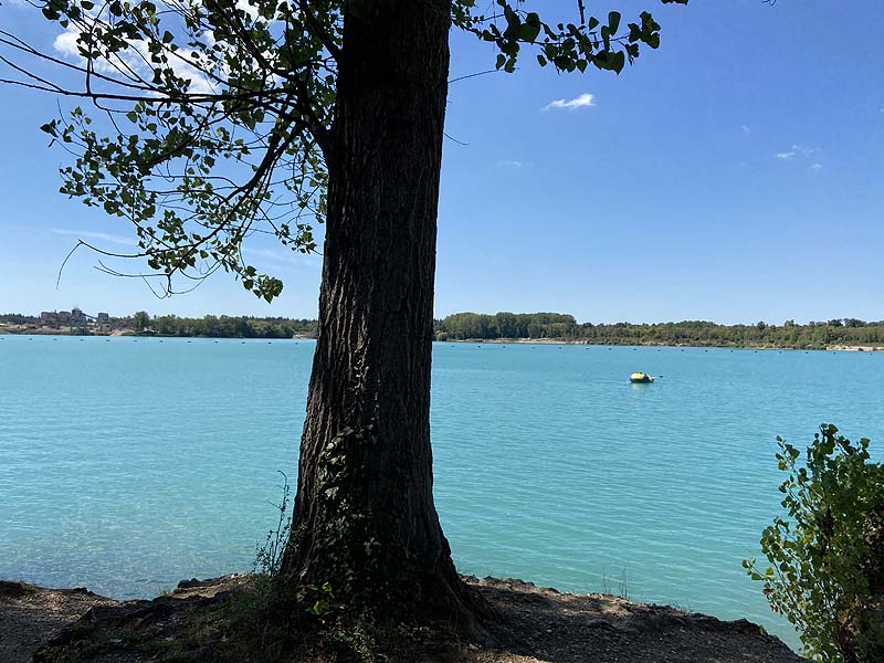 Baggersee (Breisach-Rimsingen, Baden-Württemberg)