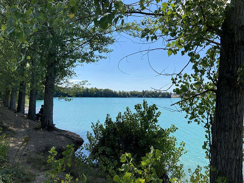 Baggersee (Breisach-Rimsingen, Baden-Württemberg)