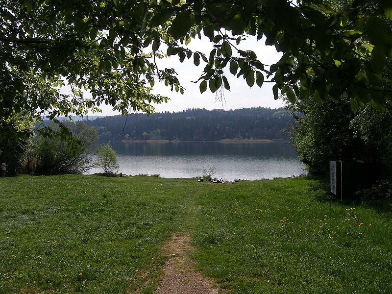 Der Niedersonthofener See