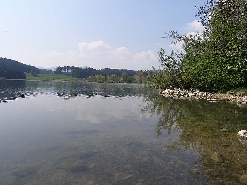 Der Niedersonthofener See