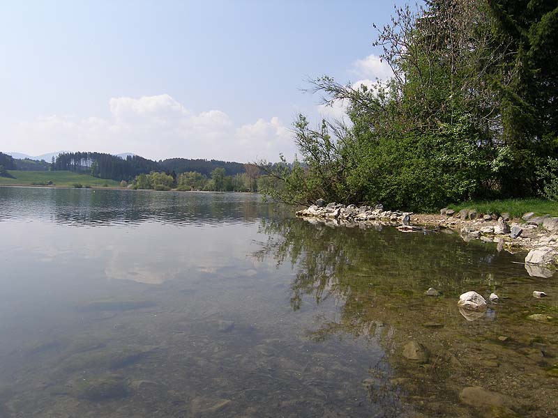 Der Niedersonthofener See