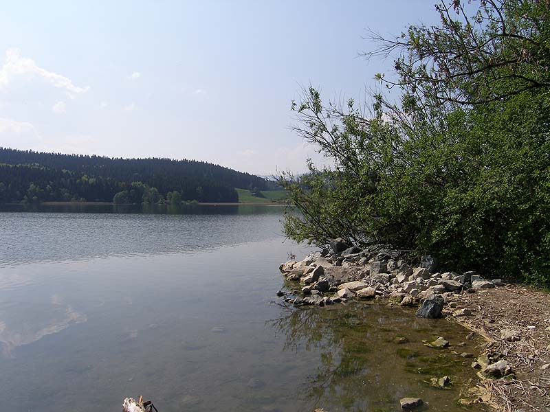 Der Niedersonthofener See