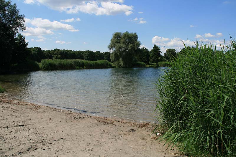 Niederwiesenweiher (Böhl-Iggelheim, Rheinland-Pfalz)