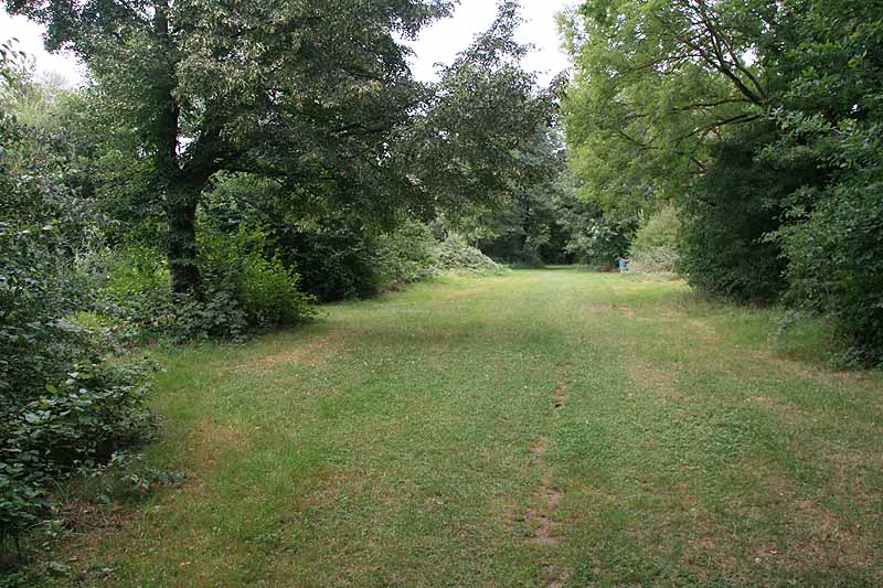 Baggersee (Nimburg, Baden-Württemberg)