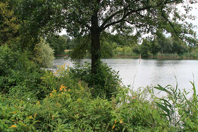 Baggersee (Nimburg, Baden-Württemberg)