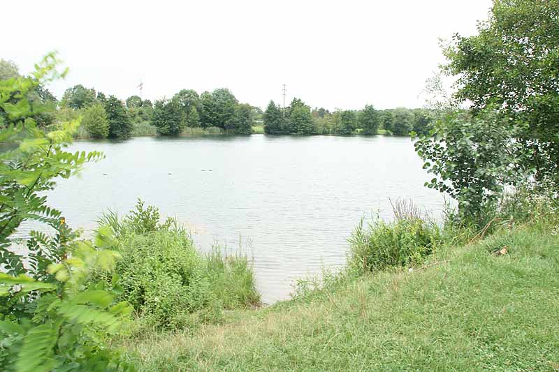 Baggersee (Nimburg, Baden-Württemberg)